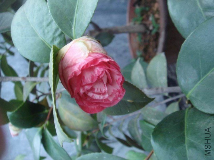 ������ȥ��ֻ��һ�䣬���úͿ��ʴ����ƣ����귢���仯��