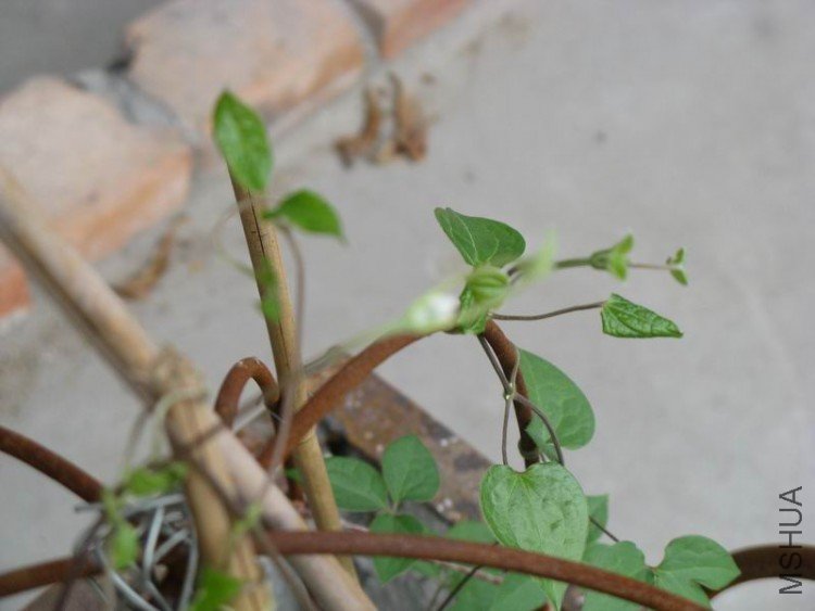 ���˽����췢����һ������