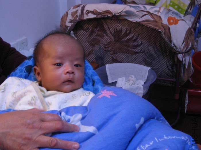 С����������