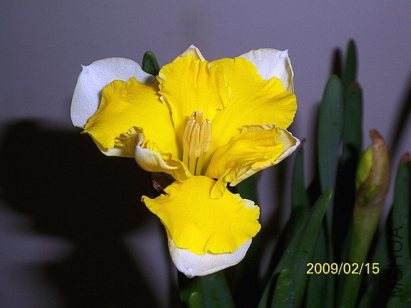 ��Ƭ 463(576).jpg