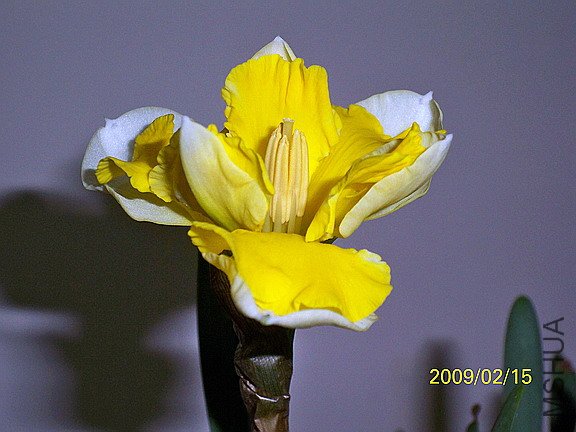 ��Ƭ 491(576).jpg