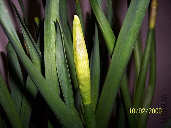 ��Ƭ 399(576).jpg