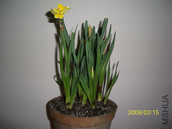 ��Ƭ 479(576).jpg