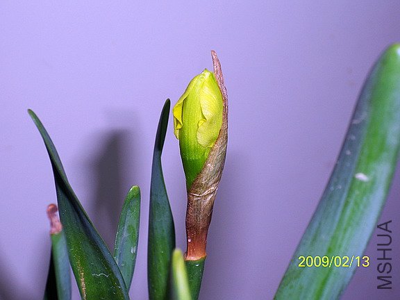 ��Ƭ 437(576).jpg