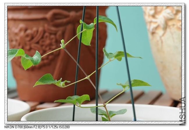 20090129������ (1).JPG