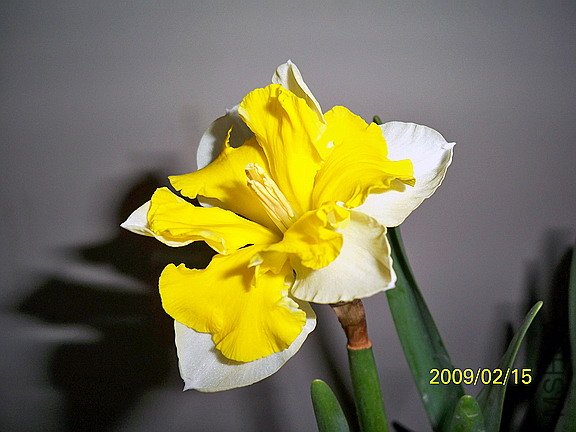 ��Ƭ 532(576).jpg