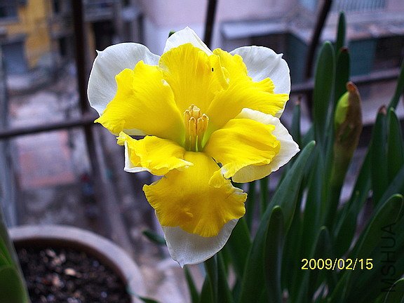 ��Ƭ 500(576).jpg