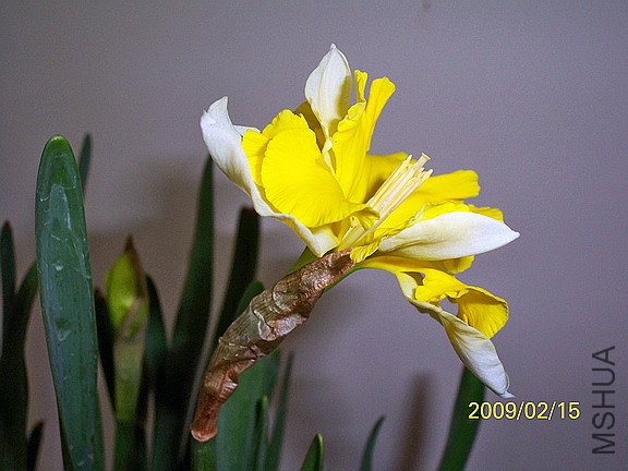 ��Ƭ 518(576).jpg