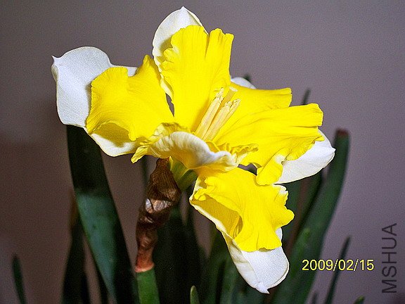 ��Ƭ 521(576q).jpg