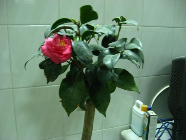 �軨 087.jpg