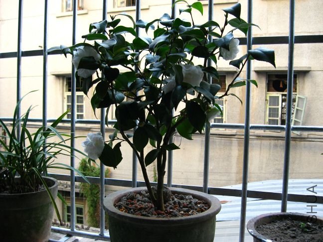 �軨 008.jpg