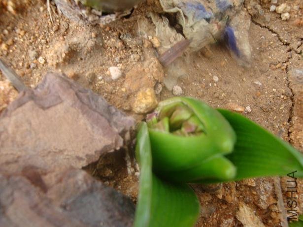 ��û����ͷ�أ�