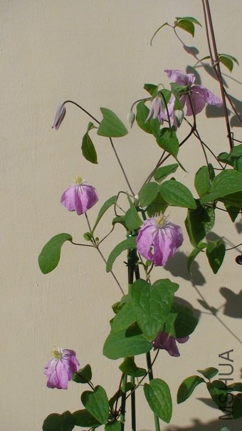 16��һ�����������:�찡!�ҵĻ�����ô��?