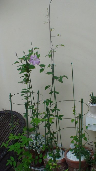 10�ſ��Ļ�, 13��ʱ, �����ô�Щ��!