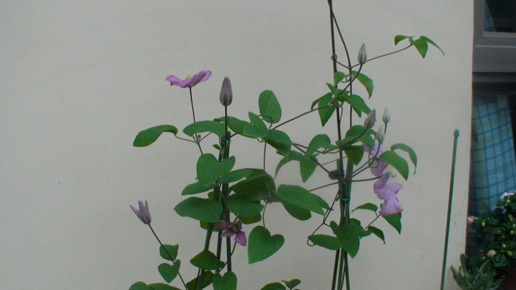 14�������˽�, ����һ��, ����4��쿪��!