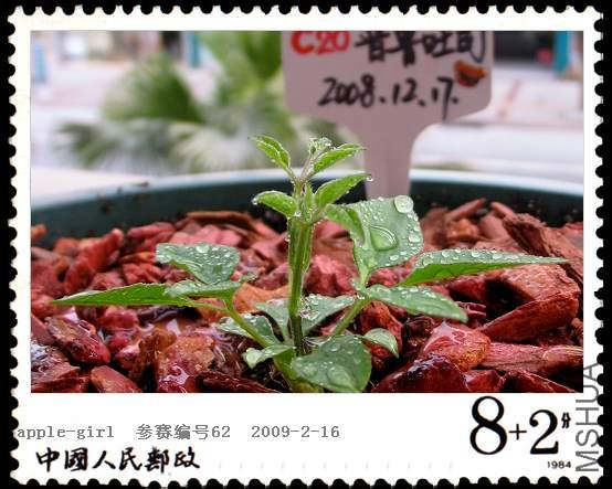 ��Ƭ20090216 004.jpg