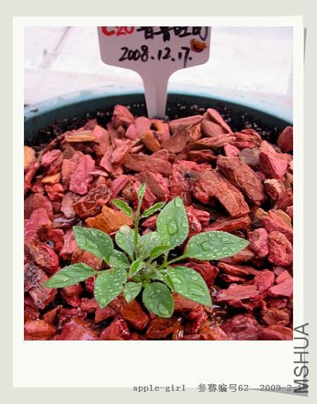 ��Ƭ20090216 001.jpg