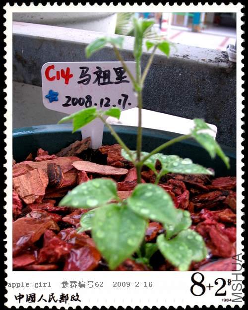 ��Ƭ20090216 006.jpg