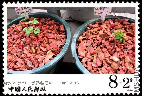 ��Ƭ20090216 010.jpg