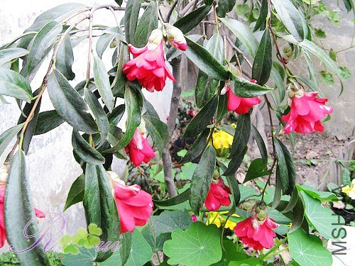 ��ȸ�� 12.jpg