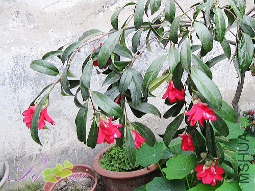 ��ȸ�� 9.jpg