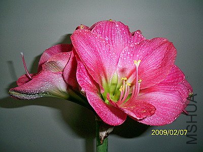 ��Ƭ 2439(400).jpg