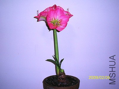 ��Ƭ 2437(400).jpg