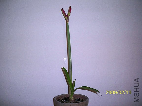 ��Ƭ 2335(576).jpg