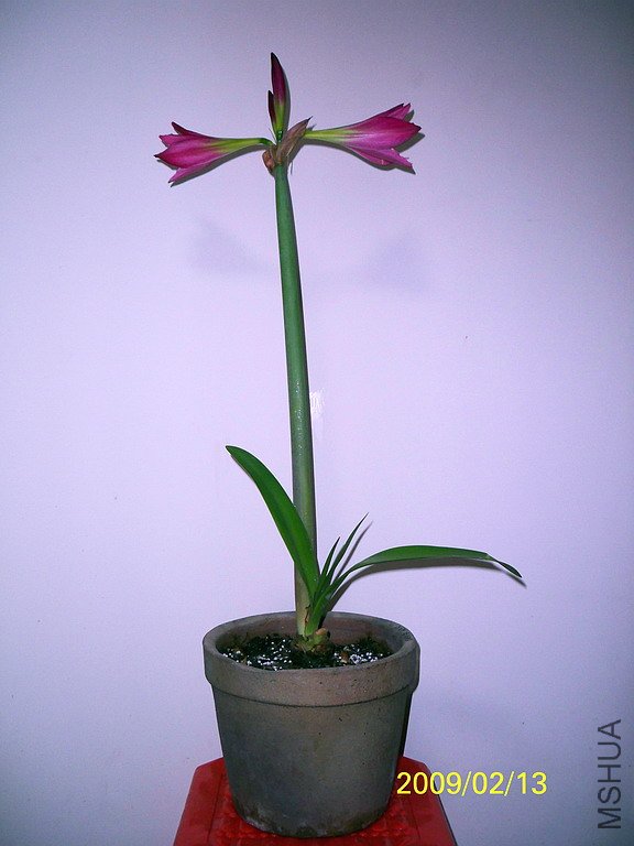 ��Ƭ 2341(576d).jpg