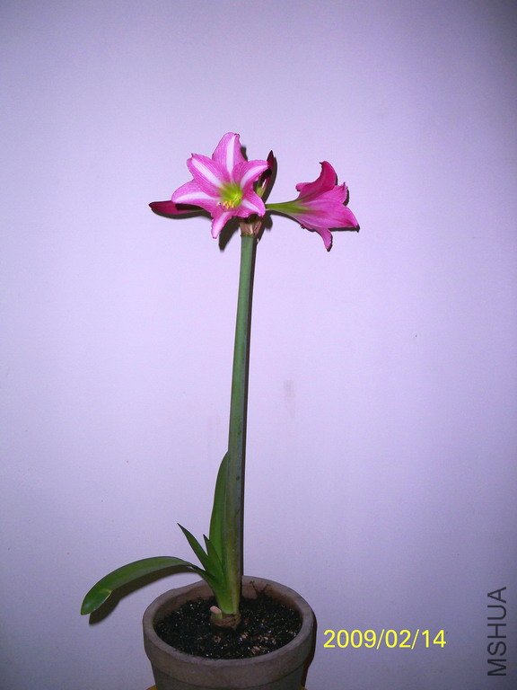 ���z����-079 2422 (576).jpg