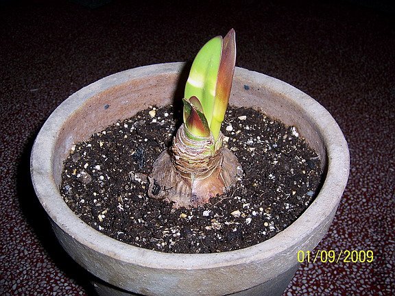 ��Ƭ 2325(576).jpg