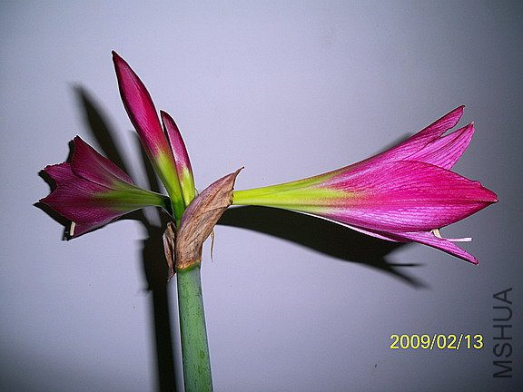 ��Ƭ 2356(576).jpg