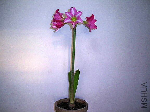 ��Ƭ 2477(576).jpg