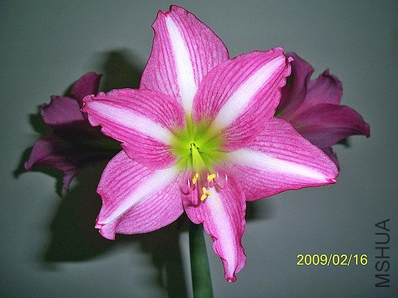 ��Ƭ 2484(576a).jpg