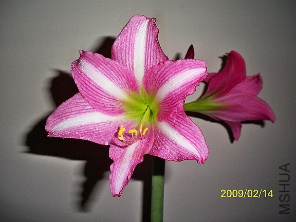 ���z����-079 2448 (576).jpg