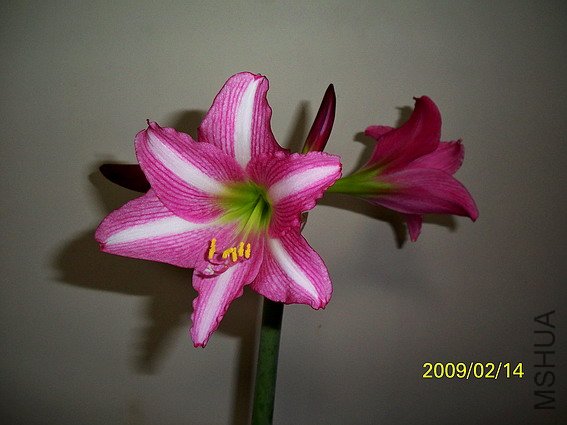 ���z����-079 2406 (567).jpg