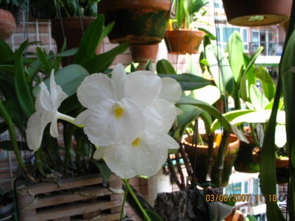 ����ͼƬ_017.jpg