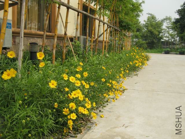 ������С IMG_0232.JPG