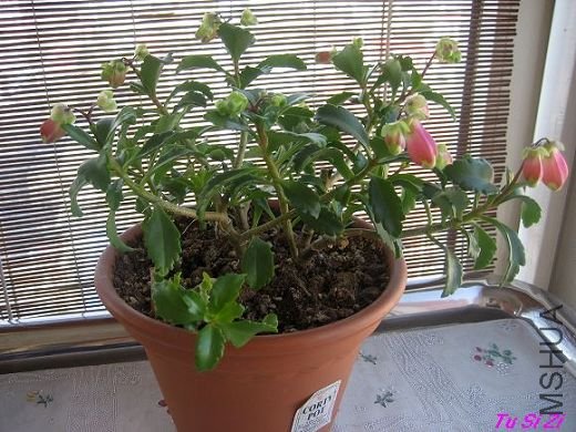 09���� 052.jpg