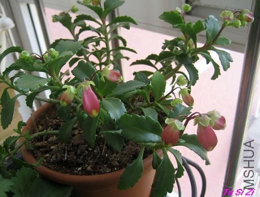 09���� 066.jpg