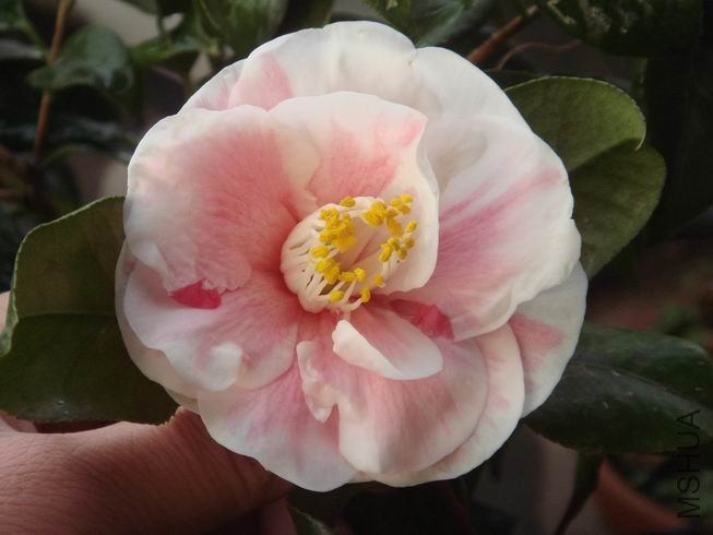 ����þ����Ķ�