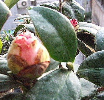 ���������һ�������ˣ�