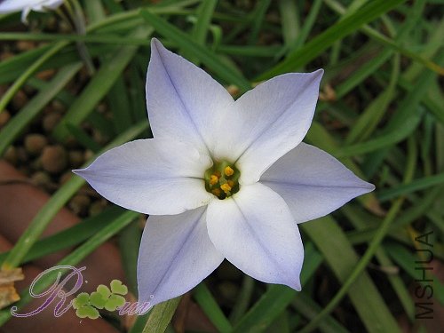 ���� ��2.jpg