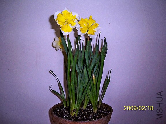 ��Ƭ 590(576).jpg