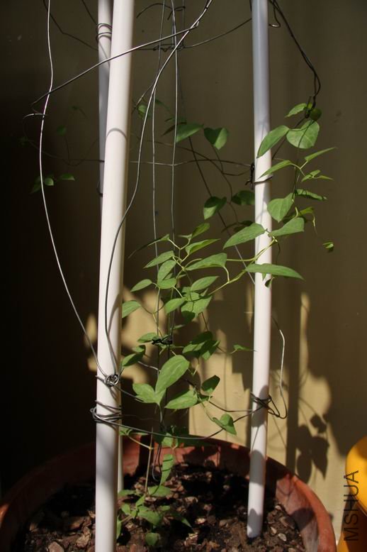 ������С 0220.jpg