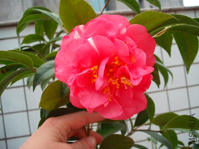 ������С������13����