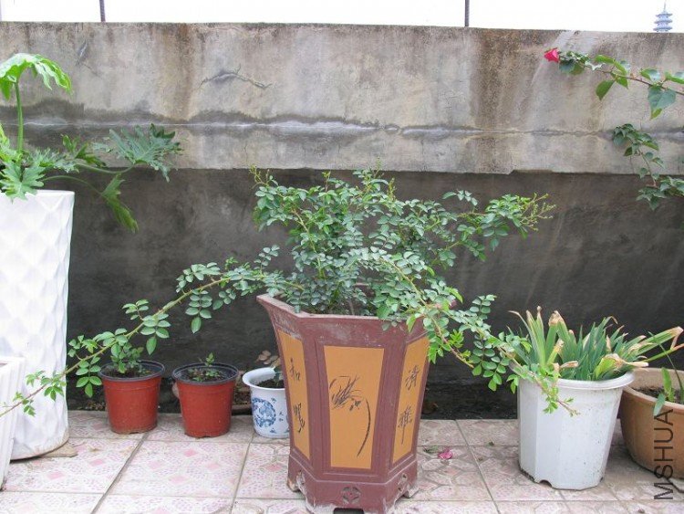 �¼��� 079.jpg