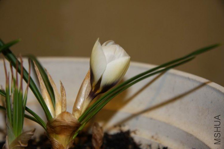 ������С 0220-1.jpg