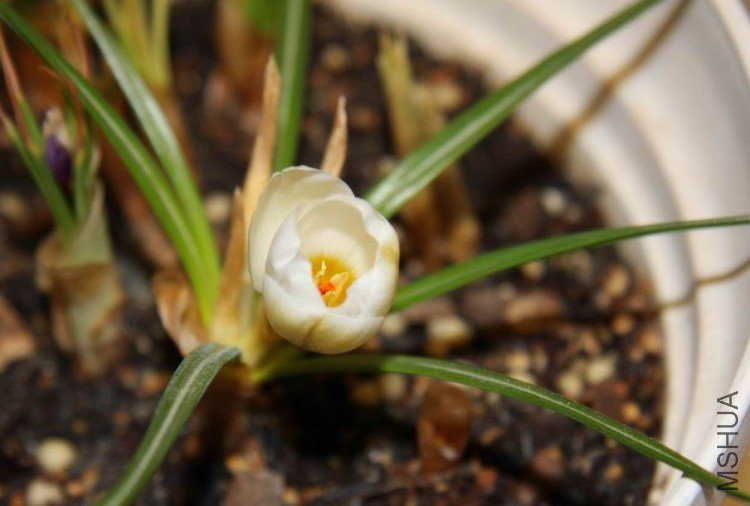 ������С 0220-2b.jpg