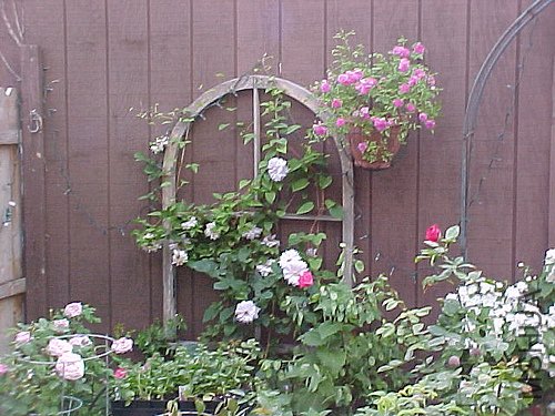 1993609956_b5cc6a88c9.jpg